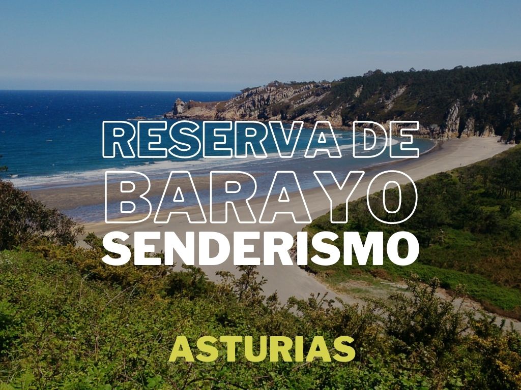 Rutas guiadas por la Reserva Parcial de la Playa de Barayo en Asturias